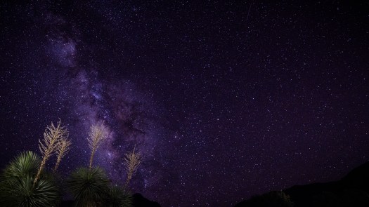 San Antonio_Big Bend NP-9.jpg