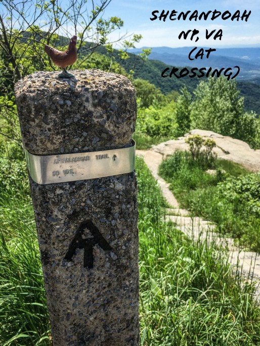 40B1BEE4-748F-47FD-AABA-9AC728B4AB1A